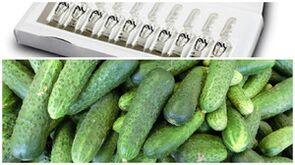 eskuko azala gaztetzeko maskarentzako errezetak